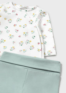 Conjunto polaina Jade